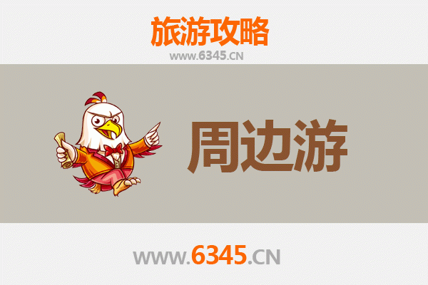 文昌公坡镇深度游：田园古韵与美食探秘之旅